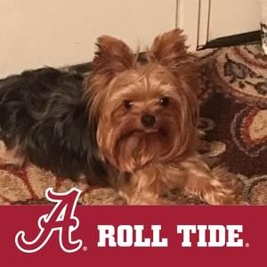 Meet your Posher, Bridget